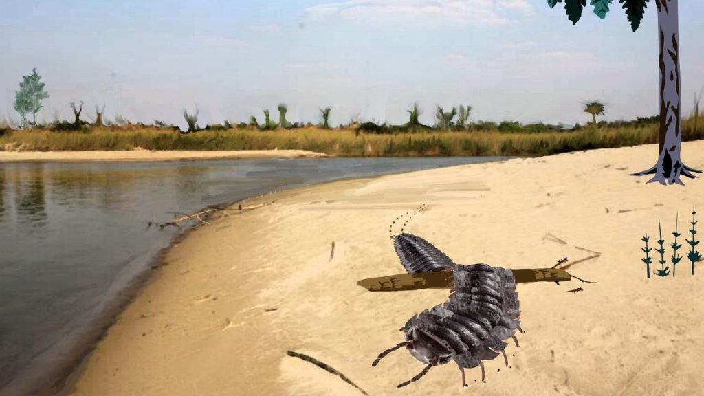 幻の巨大な深海クラゲ「ダイオウクラゲ(スティギオメデューサ・ギガンティア)」の動画撮影に成功! 地球ヤバイ!